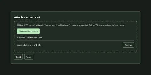 An attachment field with a choose button, a selected screenshot and a remove button
